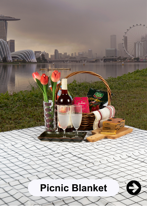 Picnic-Mat-Caterogy-2